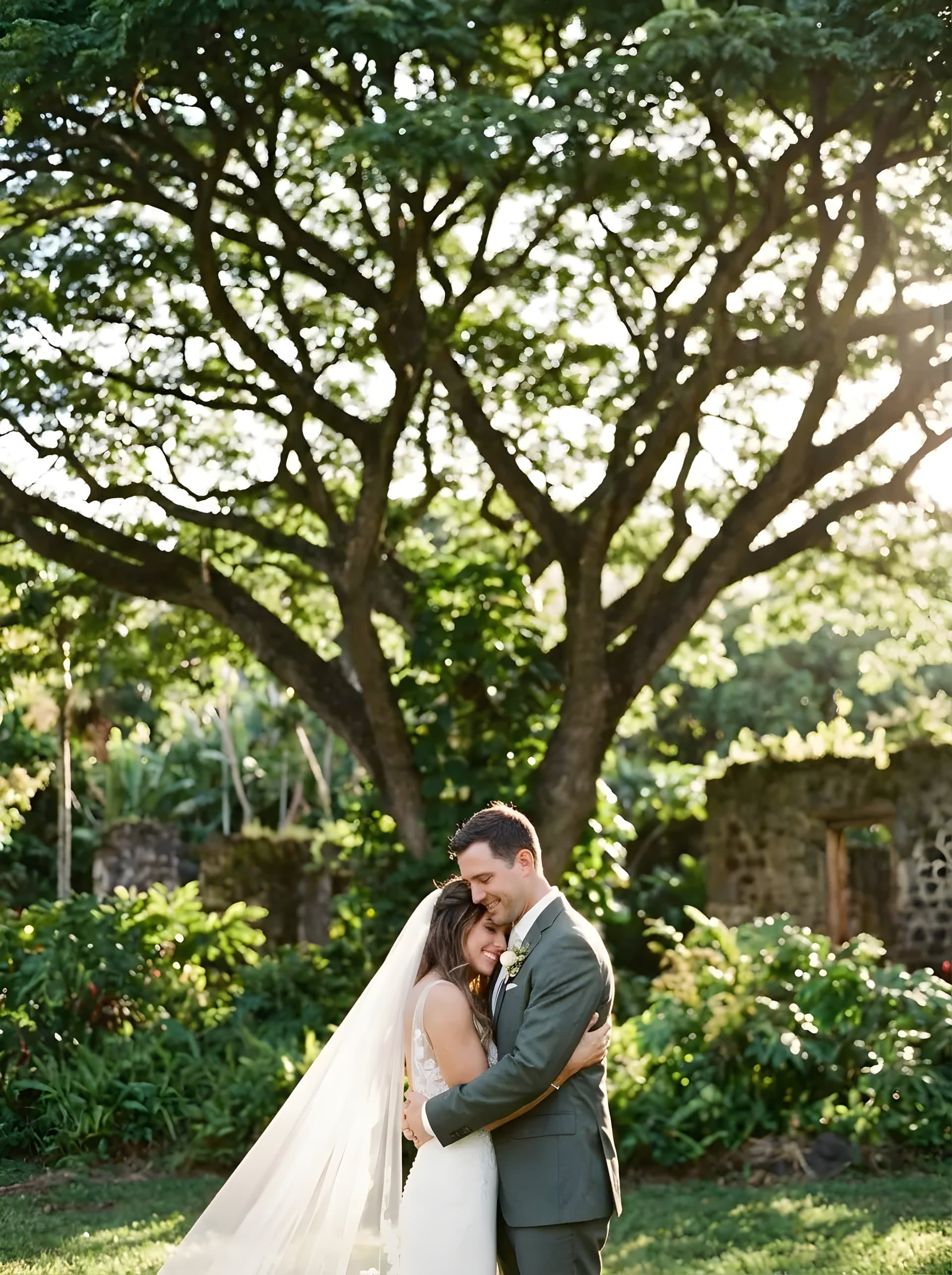 Bride and groom beneath the monkeypod tree